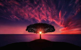 Most Stunning Sunset Photos Corel Discovery Center
