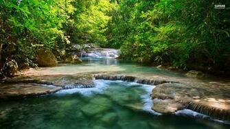 Forest Waterfall Wallpaper