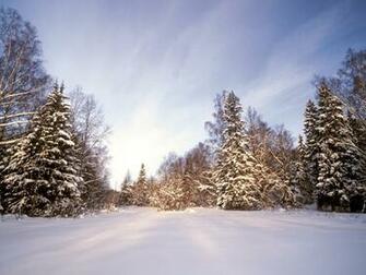 Bonewallpaper Best Desktop HD Wallpaper Snow