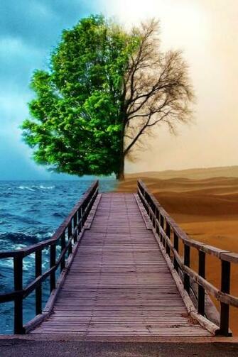 Buddhist Allegorical Gesture iPhone 4s Wallpaper