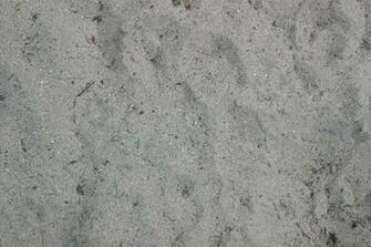 Soil Textures Best Widescreen Background Awesome HD Wallpaper Art