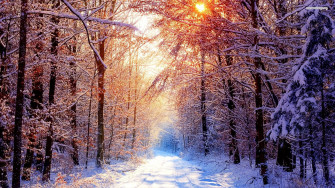 HD Winter Desktop Wallpaper