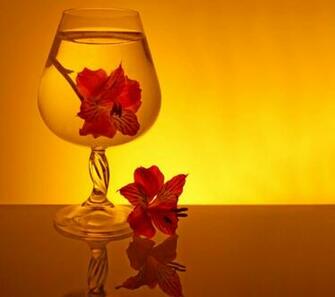 Beautiful Wallpaper For Mobile Phones