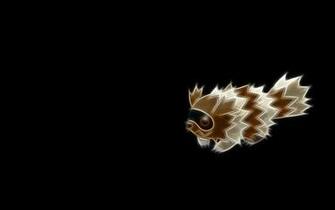 Zigzagoon Pok Mon HD Wallpaper Background Image