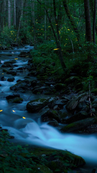 Bing HD Wallpaper Jun Nature Photography Day