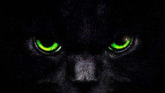 Eyes Wallpaper