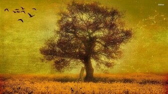Oak Tree Wallpaper Birds Flying Over The