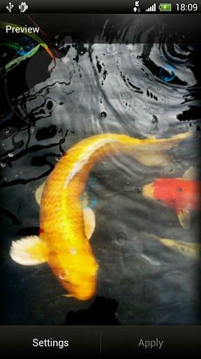Bigger Koi Fish Live Wallpaper For Android Screenshot