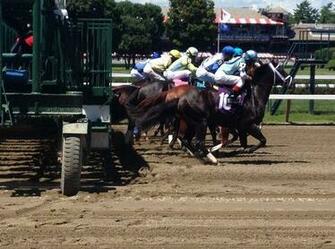 Isn T Allowed Horses Break From The Gate In Saturday S Second Race