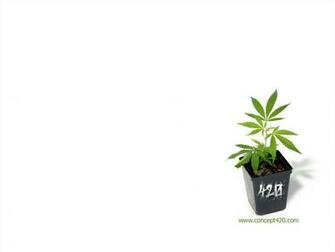 Marijuana Wallpaper
