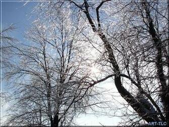 Ice Storm Wallpaper Weddingdressin