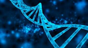 Medical Biology Detail Medicine Psychedelic Science
