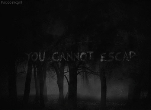 Forest Dark Horror Terror Black And White Gif
