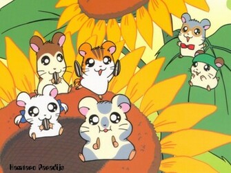 Hamtaro Wallpaper