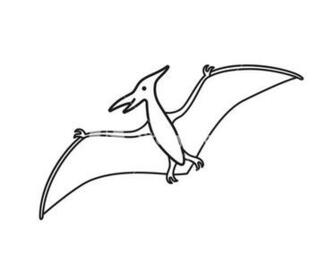 Pterodactyl Vector Contour Silhouette Pteranodon Dinosaur