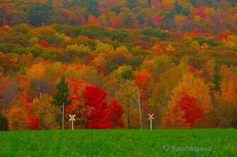 Beautiful Autumn Landscape Wallpaper