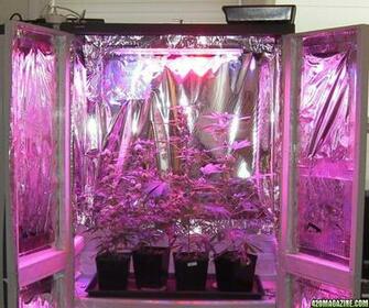 Thread Haight Solid State Led Grow Lights