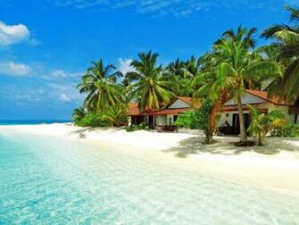 Moorea Beaches Desktop Wallpaper At Wallpaperbro