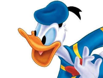 Duck Wallpaper Image Photos Pictures And Background For