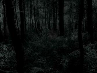 Imagini Gotice Dark Forest Wallpaper Wallpapere Org