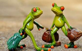 Most Funny Pictures For Jokes