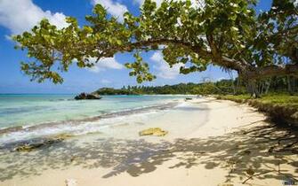 Wallpaper Playa Rincon Dominican Republic X