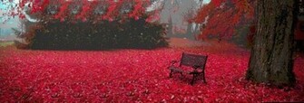 Wallpaper Available Here Beautiful Nature With Red Rose