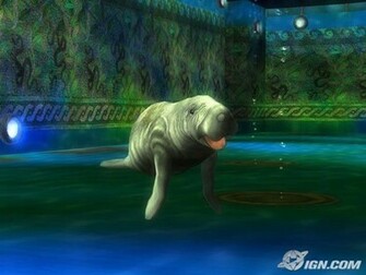 Shamu Wallpaper Weddingdressin