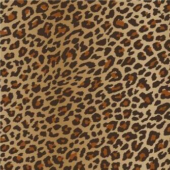 Wallpaper Arthouse Fierce Animal Print