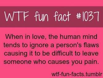 Funny Weird Facts Desktop Wallpaper