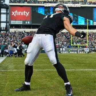 Best Fly Eagles Image Cheer