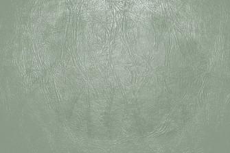 Sage Green Aesthetic Wallpaper