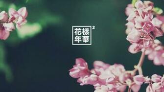 Bts Wallpaper HD Aesthetic For Laptop