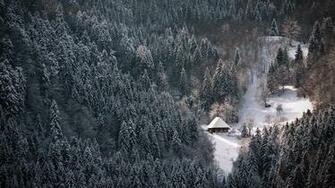 Black Forest Germany Wallpaper