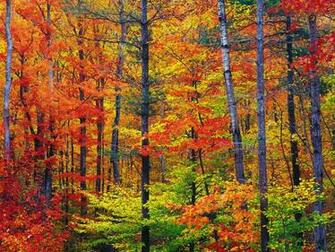 America The Beautiful In Autumn Peak Fall Foliage Dates For States
