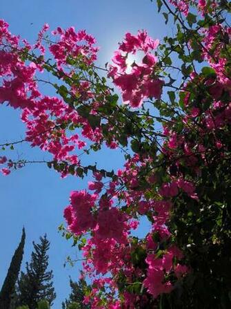 Kinneret Israel Pictures Image