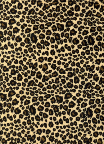 Aesthetic Cute Cheetah Print Wallpaper