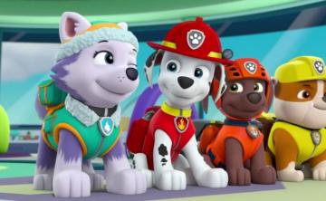 Marshall And Everest Paw Patrol Animated Couples Photo