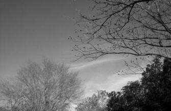 Black And White Full HD Wallpaper Search