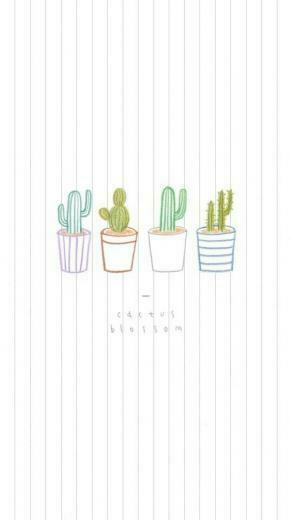 Cactus Background Fondos De Pantalla