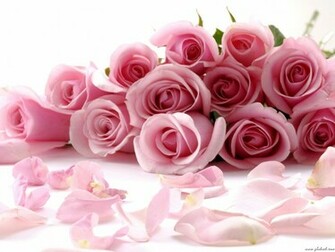 Beautiful HD Flowers Desktop Wallpaper