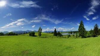 Green Meadow Wallpaper