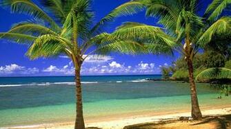 Beaches Wallpaper High Quality And Resolution