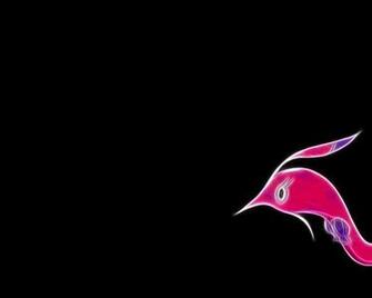 Gorebyss Minimalism Black Background Wallpaper