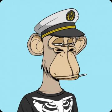 Any Other Phoebe Fans Members Of The Bored Ape Yacht Club I