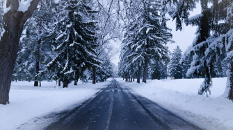 Wallpaper Winter Road Snow Trees