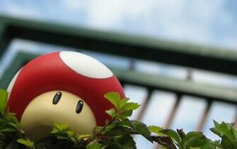 Mario Mushroom Wallpaper