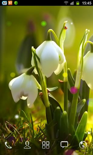 Beautiful Interactive White Flowers Who Could Have Known Nature Can