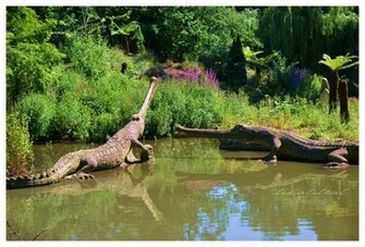 Prehistoric Crocodiles Wallpaper By Likalileal