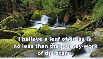 Wallpaper Nature Quotes And Image HD